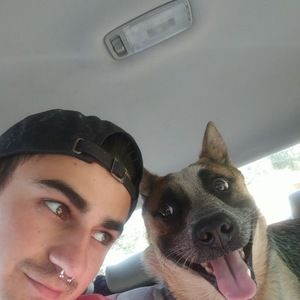 Meet your Posher, Shane